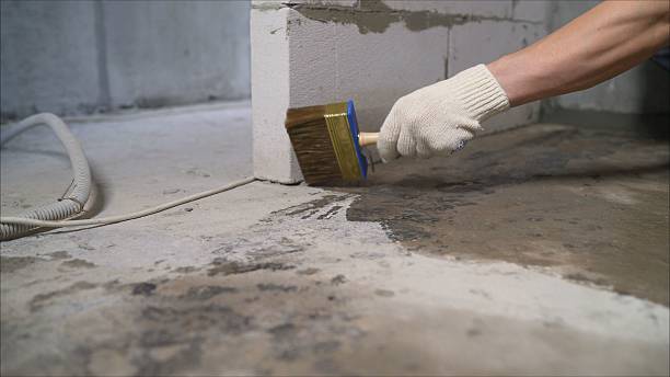 SJ Waterproofing Pros Exterior Waterproofing coverage map for Buchanan, GA and surrounding area
